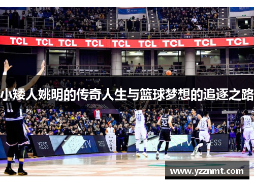 小矮人姚明的传奇人生与篮球梦想的追逐之路